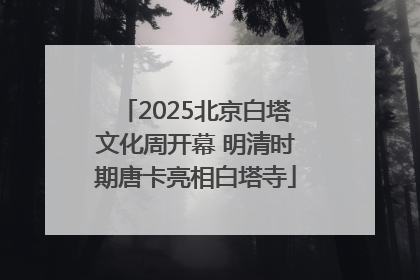 2025北京白塔文化周开幕 明清时期唐卡亮相白塔寺