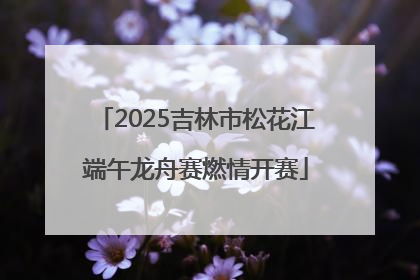 2025吉林市松花江端午龙舟赛燃情开赛