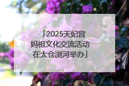 2025天妃宫妈祖文化交流活动在太仓浏河举办