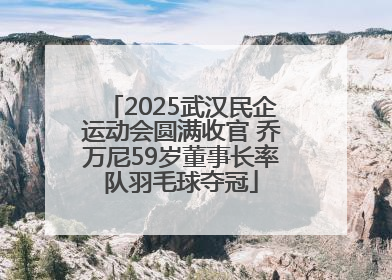 2025武汉民企运动会圆满收官 乔万尼59岁董事长率队羽毛球夺冠