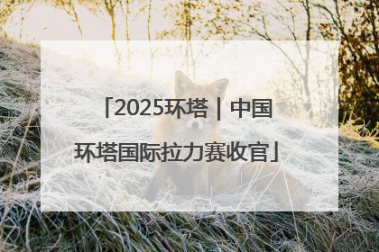 2025环塔｜中国环塔国际拉力赛收官