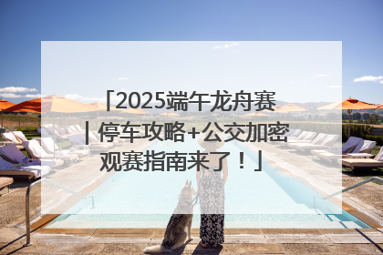 2025端午龙舟赛｜停车攻略+公交加密 观赛指南来了！