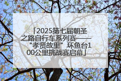 2025第七届朝圣之路自行车系列赛——“孝贤故里”环鱼台100公里挑战赛启幕