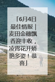 6月4日最佳情报｜麦田金穗飘香迎丰收，凌霄花开娇艳多姿！恭喜