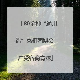 80余种“通川造”亮相西博会 广受客商青睐