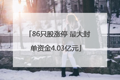 86只股涨停 最大封单资金4.03亿元