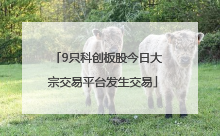 9只科创板股今日大宗交易平台发生交易