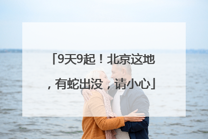 9天9起！北京这地，有蛇出没，请小心