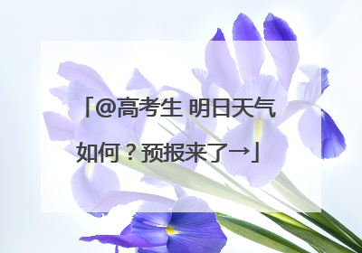 @高考生 明日天气如何？预报来了→