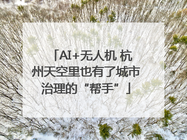 AI+无人机 杭州天空里也有了城市治理的“帮手”
