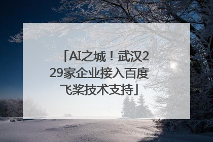 AI之城！武汉229家企业接入百度飞桨技术支持