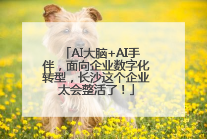 AI大脑+AI手伴，面向企业数字化转型，长沙这个企业太会整活了！