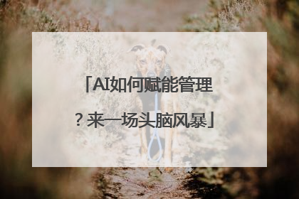AI如何赋能管理？来一场头脑风暴