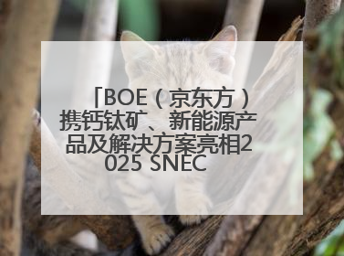 BOE（京东方）携钙钛矿、新能源产品及解决方案亮相2025 SNEC 科技创新赋能行业绿色发展
