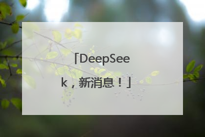 DeepSeek，新消息！