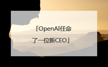 OpenAI任命了一位新CEO